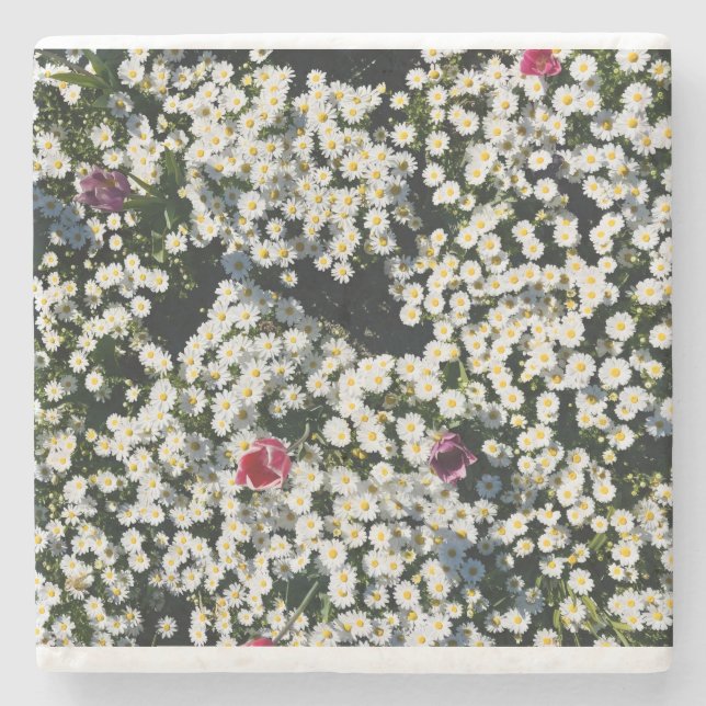 Piedra Juego de Posavasos Whimsical Daisy Meadow (Anverso)