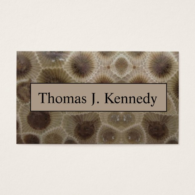 Piedra Petoskey (Frente)