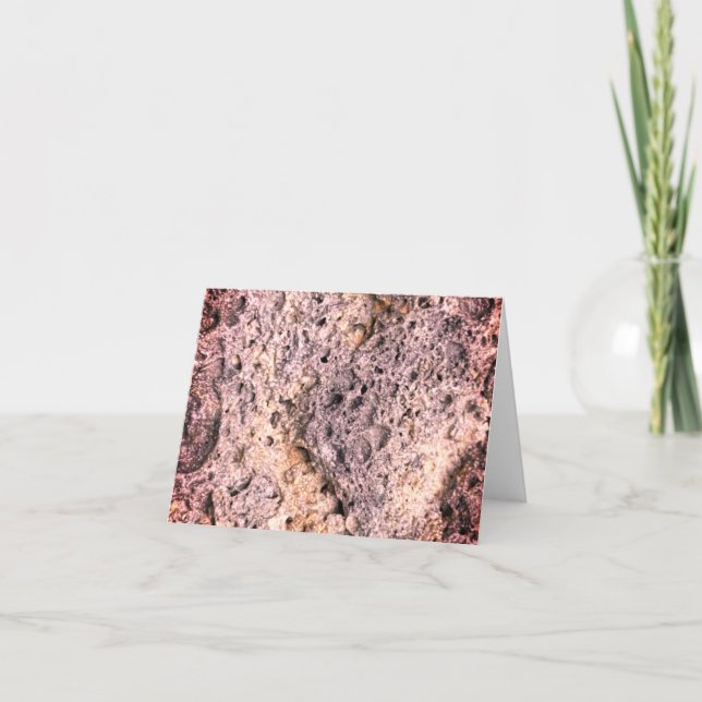 Piedra porosa | Filtro Sangria | (Anverso)