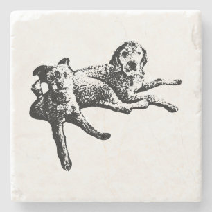 Piedra Posavasos de arte de tinta dúo de Labradoodle y Te