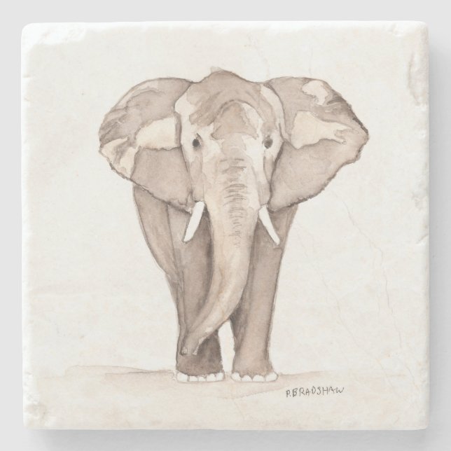Piedra posavasos de elefante (Anverso)