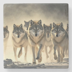 Piedra Posavasos de mármol-Lobos