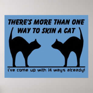 Piel De Un Gato Divertido Cartel Impreso Señal Hum