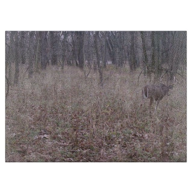 Piel en la tabla de cortar bosques (Anverso)