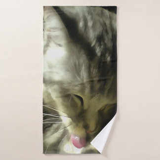 Piel Y Puro Suave Y Suave De Un Gato Gris