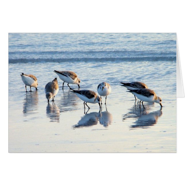 Pieles de arena (Anverso (Horizontal))