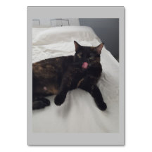 Pieles suaves, gatos, tarjetas flash de lectura ad