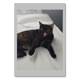 Pieles suaves, gatos, tarjetas flash de lectura ad