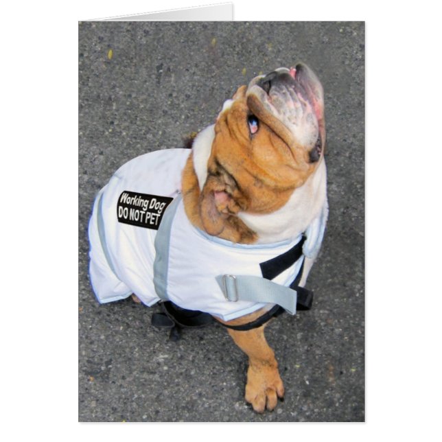 Piense el positivo (Frente)