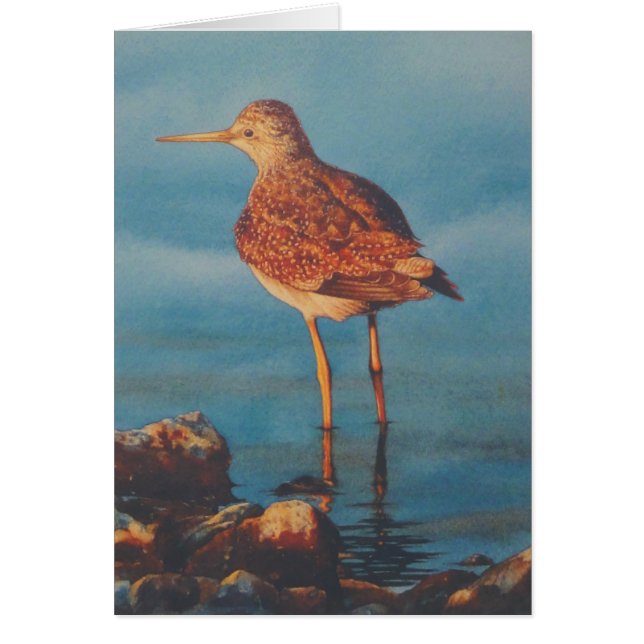 Piernas amarillas (Frente)