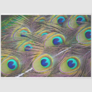Pies de pavo real 1 Papel de tejidos de descomposi