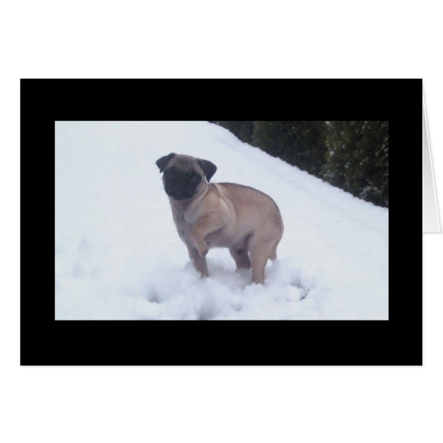 Pies fríos (Anverso (Horizontal))