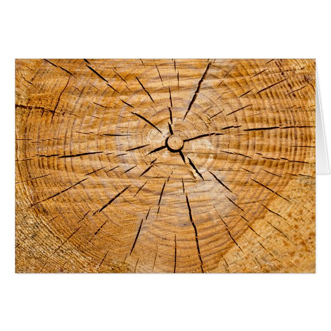 Pieza de vida (Anverso (Horizontal))