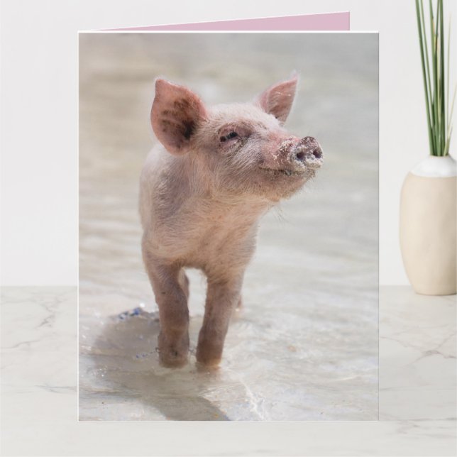 ¡PIG SE BIEN PRONTO! TARJETAS DE TARJETA (Anverso)