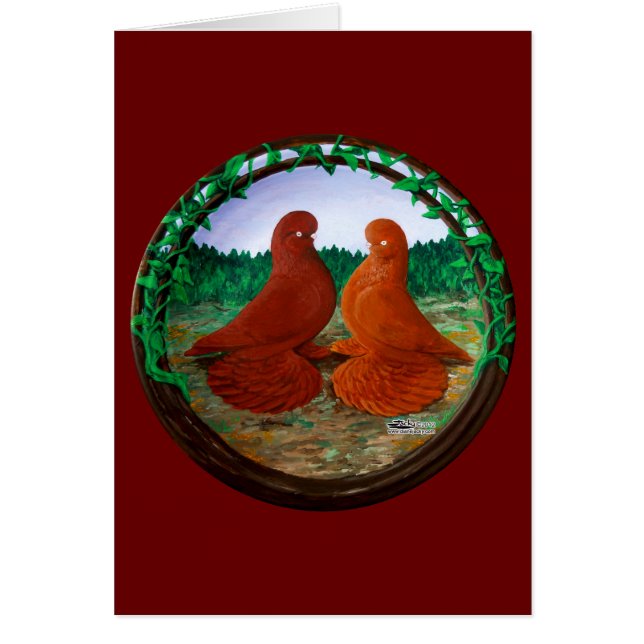 Pigeones de Tumbler espumoso2 (Frente)