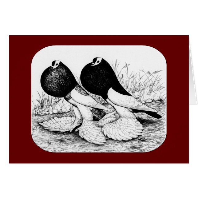 Pigeos exteriores de reverso (Anverso (Horizontal))