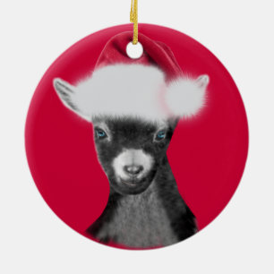 Pigmy Goat Santa Hat Ornamento de Navidad