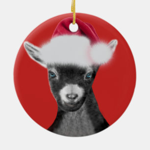 Pigmy Goat Santa Hat Ornamento de Navidad
