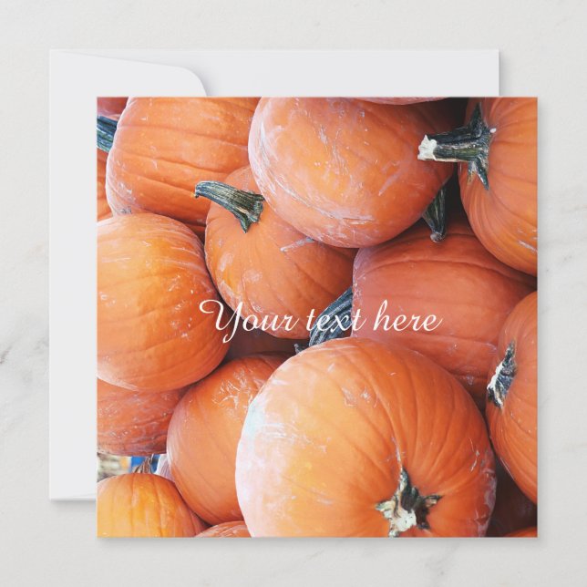 Pila de calabaza de caída (Anverso)