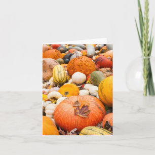 Pila De Calabazas Y Calabacines