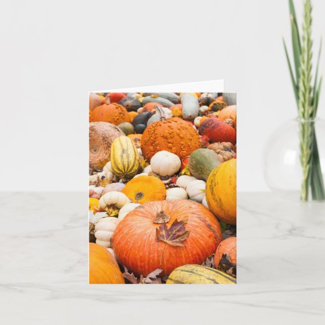 Pila De Calabazas Y Calabacines (Anverso)