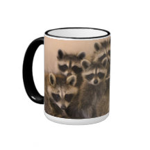 Pila de taza de los mapaches