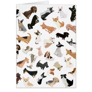 Pila del fiesta del perro