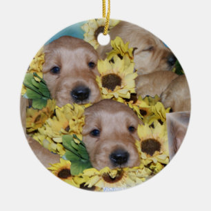 Pilas de perritos en el ornamento del navidad de