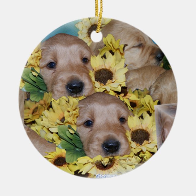 Pilas de perritos en el ornamento del navidad de (Frente)