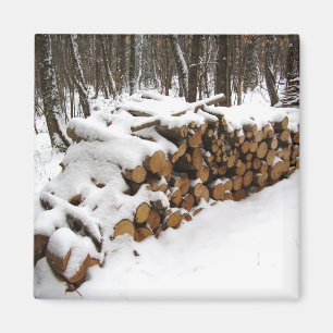 Pile de registro en el imán Woods