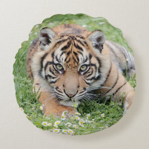 Pillow Photo tiger cat , animales 01 . almohada re