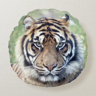 Pillow Photo tiger cat , animales 02 . almohada re