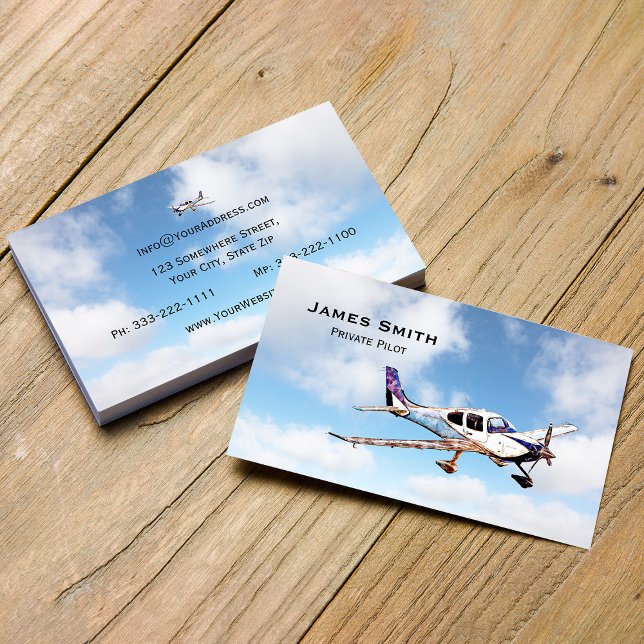 Piloto privado profesional, tarjeta de aviación Pe (Subido por el creador)