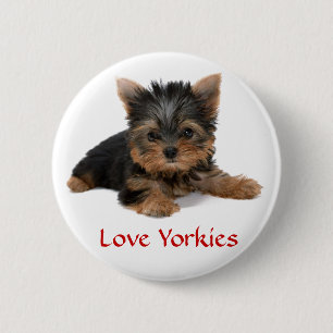 Pin botón de cachorro de los Yorkies de amor