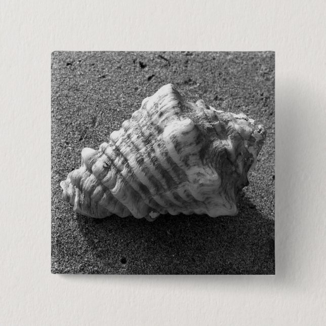 Pin botón de playa de arena de concha (Anverso)