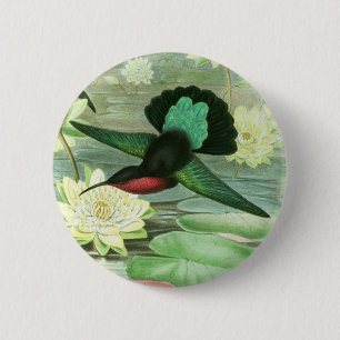 Pin redondo del botón del colibrí colorido de