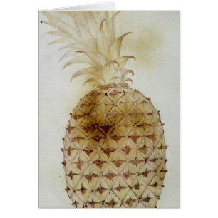 Piña