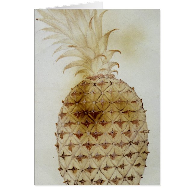 Piña (Frente)