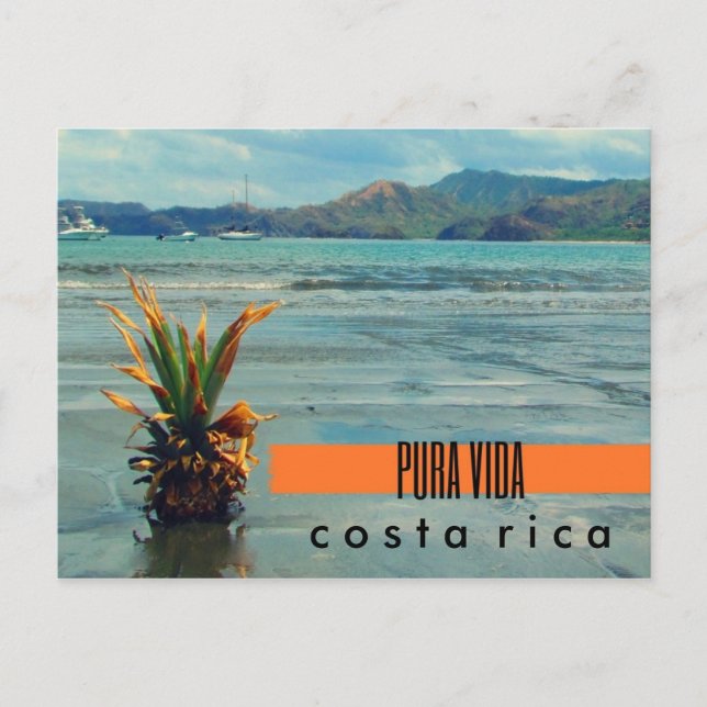 Piña costarricense en la postal de la playa (Anverso)