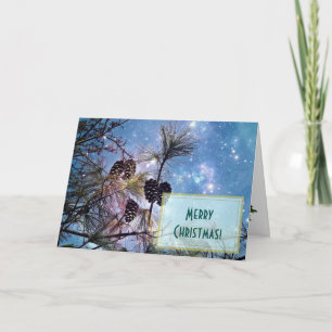 Piñas de Navidad bajo un cielo nocturno estrellado