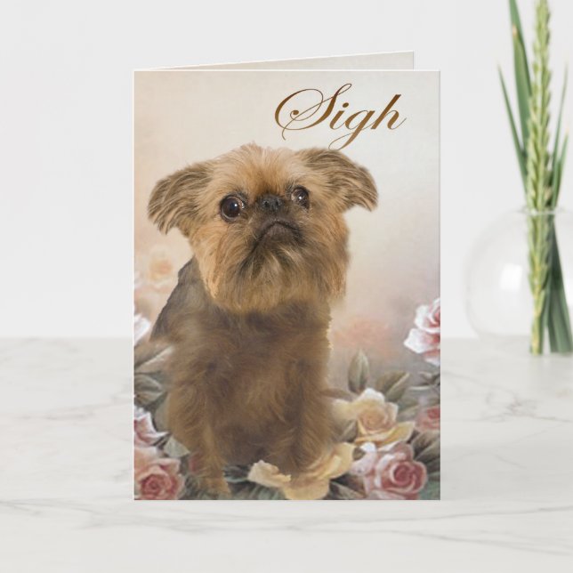 Pincel Griffon Falta las tarjetas (Anverso)