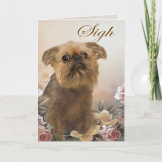 Pincel Griffon Falta las tarjetas