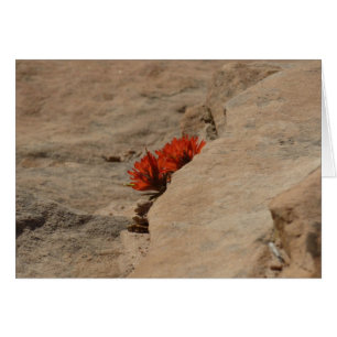 Pincel indio en rocas en Zion