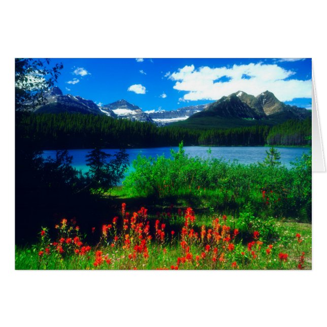 Pinceles de Indio (Anverso (Horizontal))