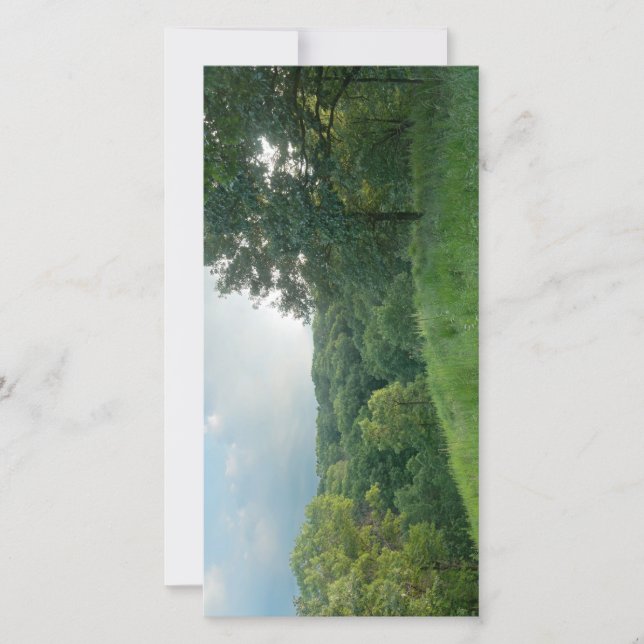 Pine Bend Bluff sobre los bosques del valle (Anverso)