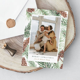 Pine Branches Greenery Photo Navidad Flat