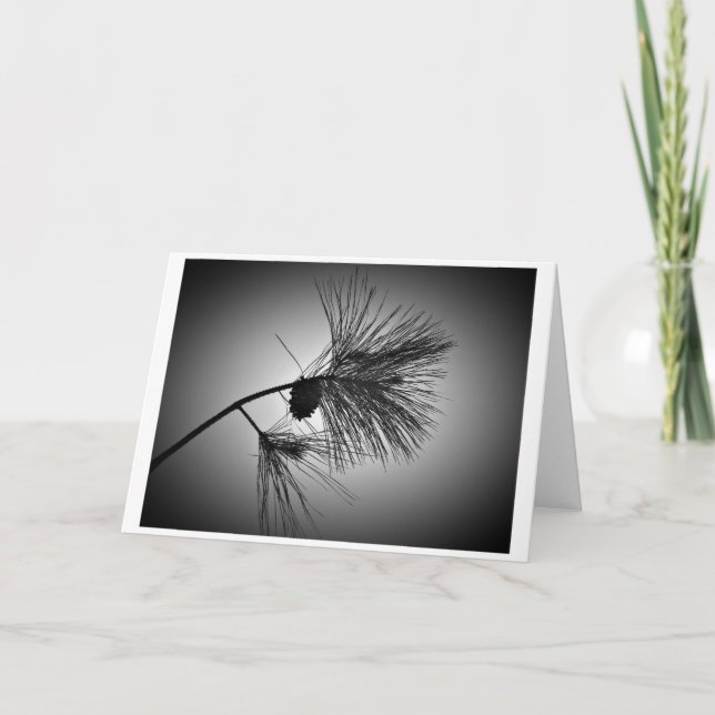 Pine Cone On Branch - Noir, tarjeta (Anverso)