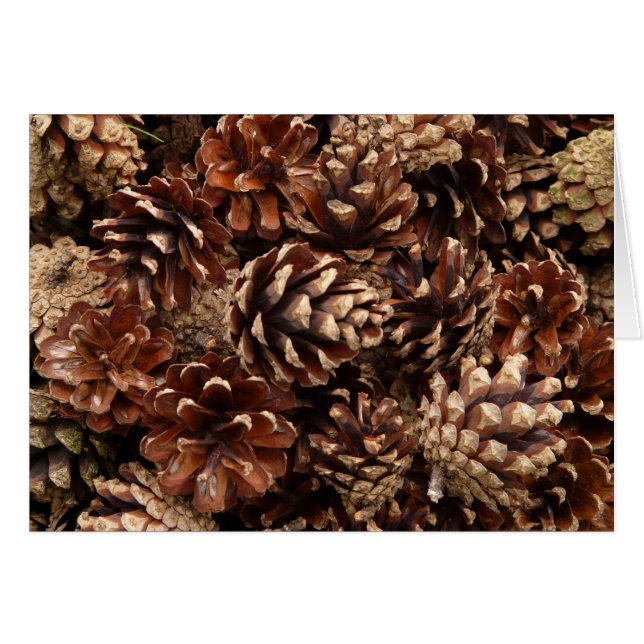 Pine Cones Blank Card (Anverso (Horizontal))
