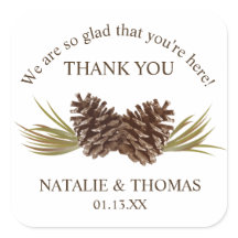 Pine Cones Gracias Pegatina De Regalos