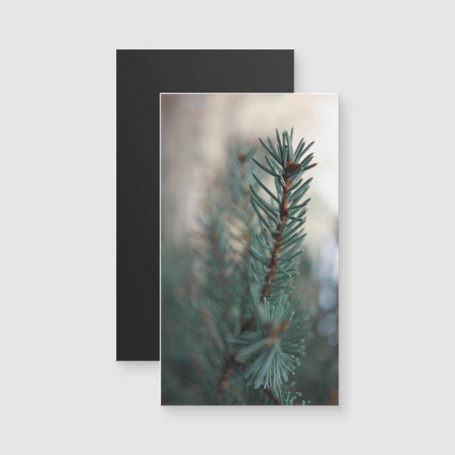 Pine Trees (Anverso/Reverso)